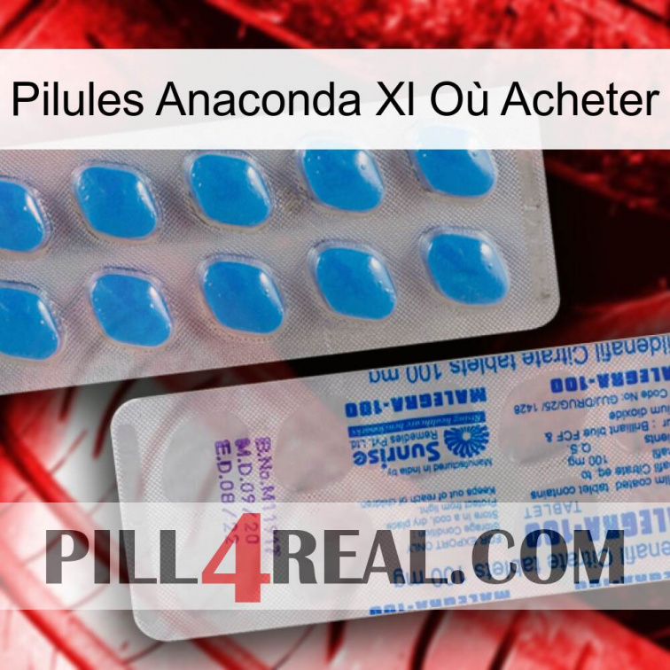 Pilules Anaconda Xl Où Acheter new15